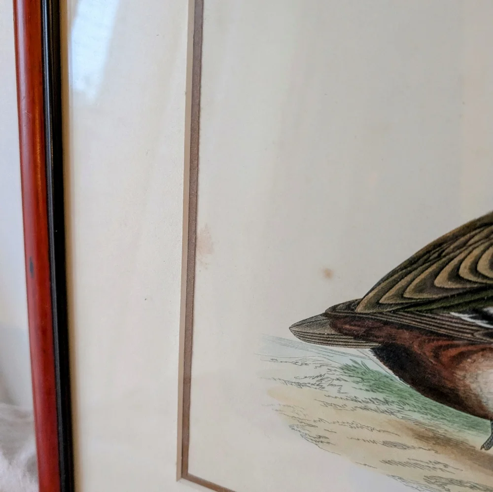 Frame - Picture 3 of 5